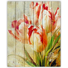 Creative Wood Цветы Цветы -16 Тюльпаны