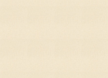 Светостойкие обои Rasch Florentine Incanto 820713