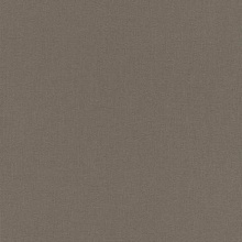 Rasch Poetry 423990