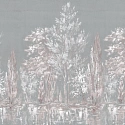 ART13 005