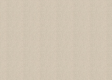 Светостойкие обои Rasch Florentine Incanto 820560